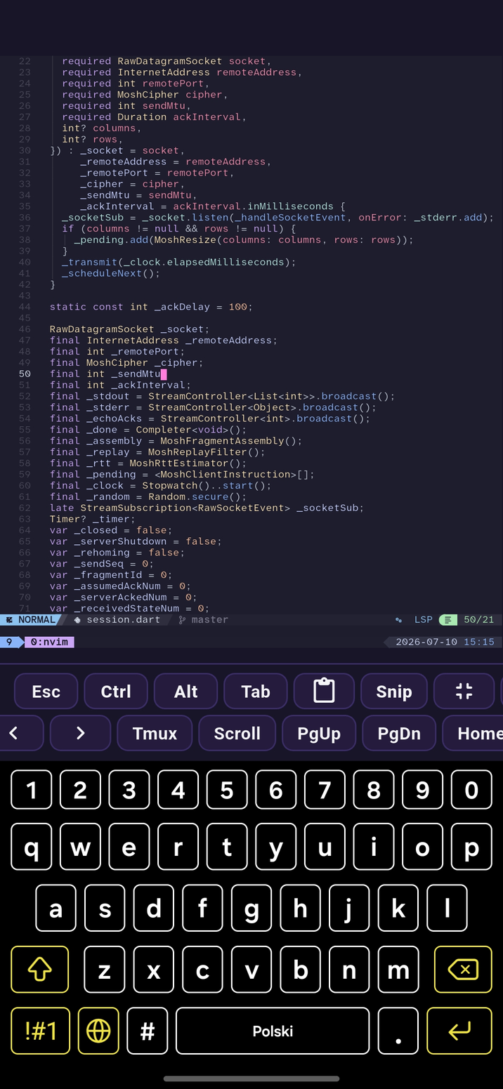 Editing a file in Neovim inside Conduit