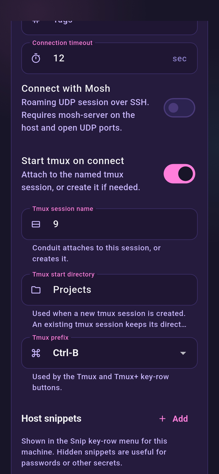 Conduit per-host tmux settings
